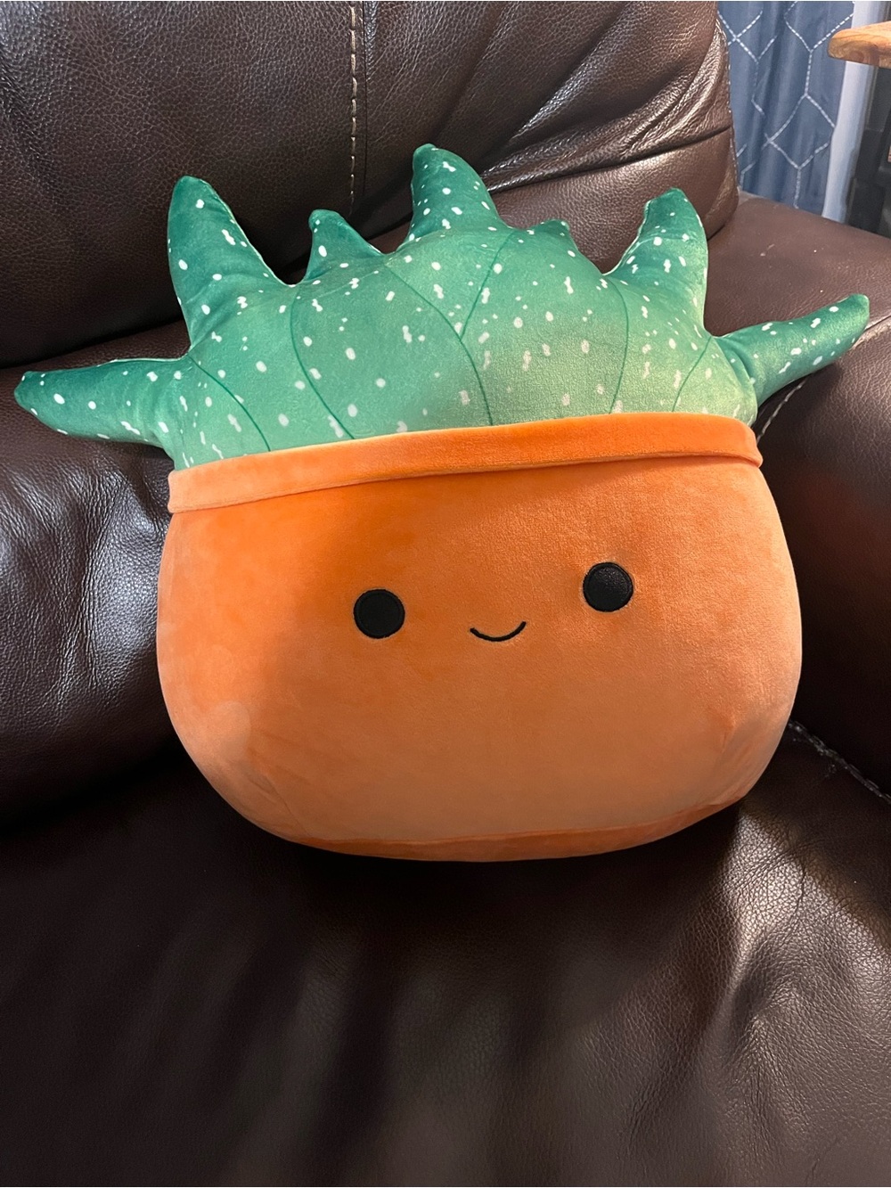 Succulent Squishmallow 12inch